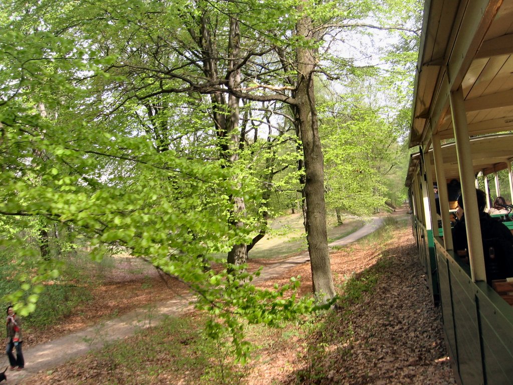 Unterwegs mit der Waldeisenbahn