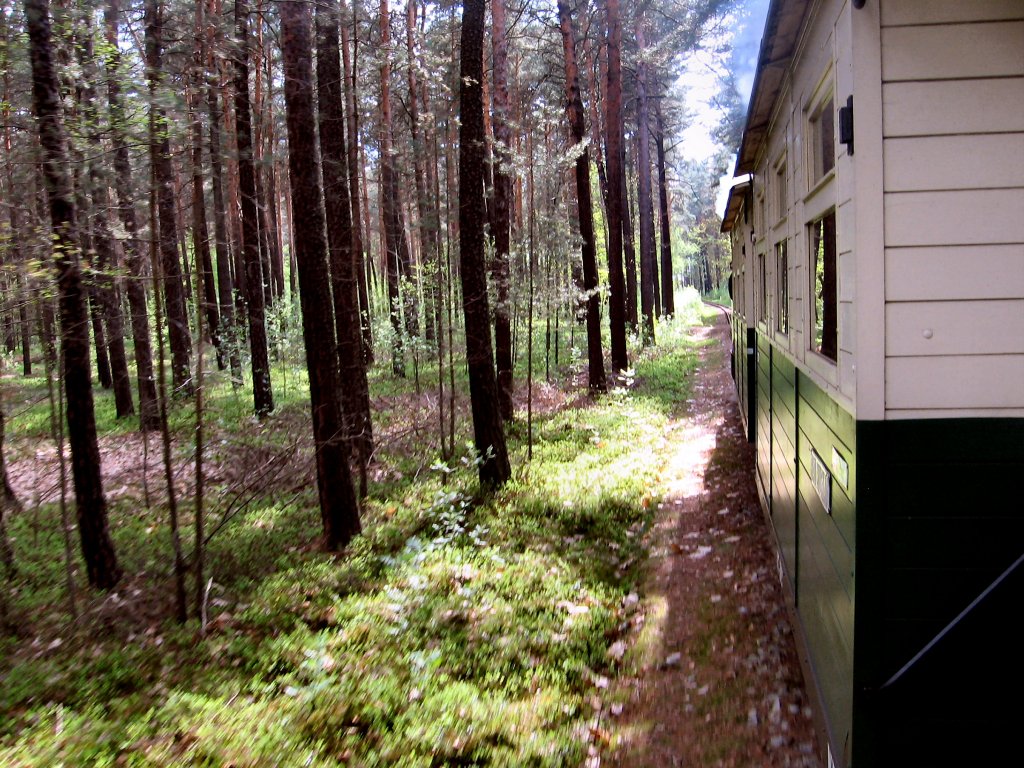 Wald und Waldeisenbahn gehren zusammen