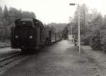 Personenzug in Kurort Jonsdorf, vor 1989