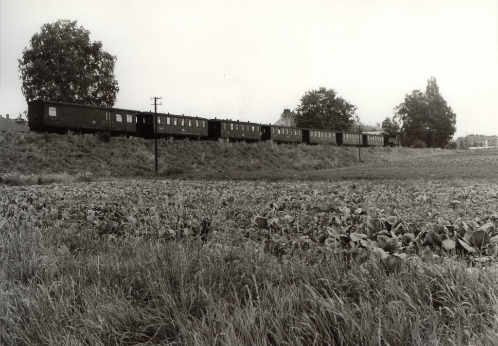 Schmalspurzug bei Zittau Vorstadt