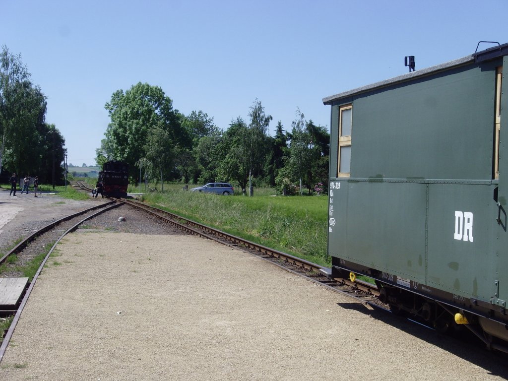 Umsetzen in Thalheim, Juni 2010