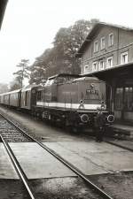 Personenzug in neustadt/Sa mit 112 (ex V100)