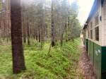 Typisch Waldeisenbahn, Strecke durch den Wald